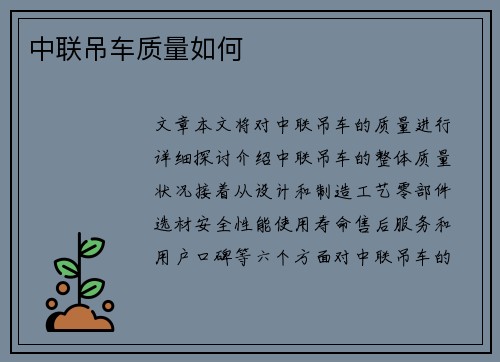 中联吊车质量如何